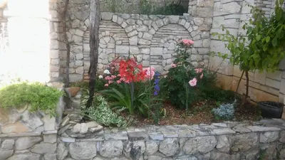 Vrt u objektu Ruža