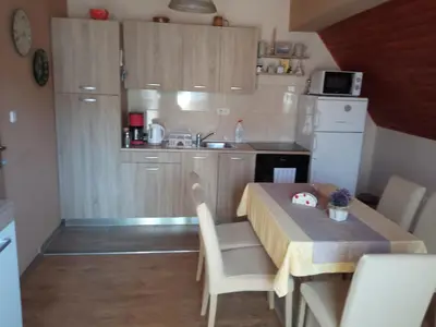 Kuhinja ili čajna kuhinja u objektu Ruža