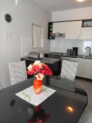 Kuhinja ili čajna kuhinja u objektu Apartments Sunag