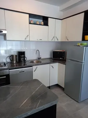 Kuhinja ili čajna kuhinja u objektu Apartments Sunag