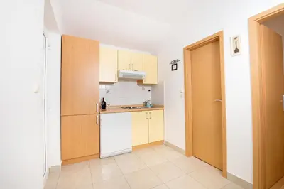Kuhinja ili čajna kuhinja u objektu Apartments Ksenija