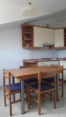 Kuhinja ili čajna kuhinja u objektu Apartments Ukić
