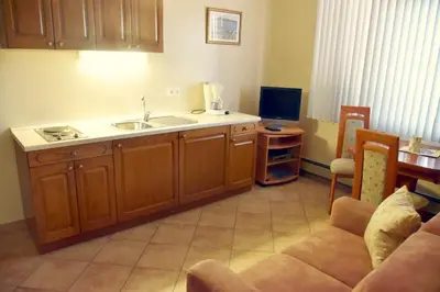 Kuhinja ili čajna kuhinja u objektu Americana Luxury Apartments