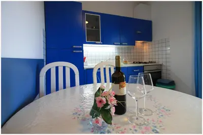 Kuhinja ili čajna kuhinja u objektu Apartmani- Šjor -Primošten-Apartmani- has 2 large apartments and 2 smaller ones -Primošten Lokvice 6