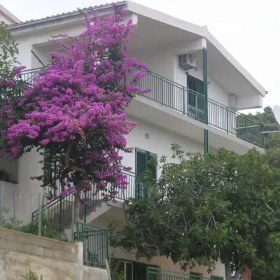 Apartments Neva