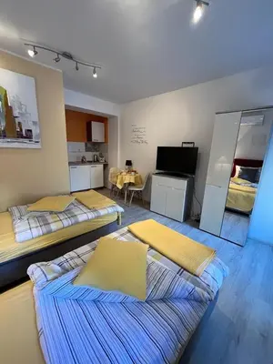 Kuhinja ili čajna kuhinja u objektu Titius Apartment
