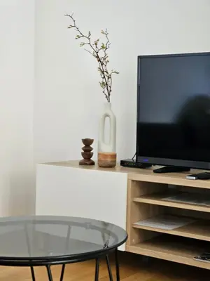 TV i/ili zabavni centar u objektu Apartments Zorka
