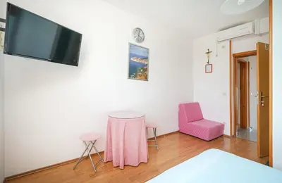 TV i/ili zabavni centar u objektu Apartment and Room Stefanija