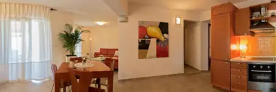 Kuhinja ili čajna kuhinja u objektu Apartman Roza