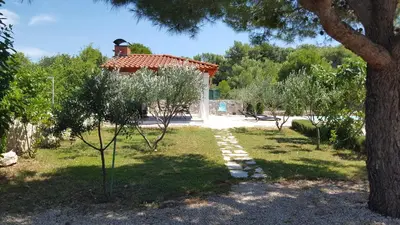 Vrt u objektu Resort Apartment Petrović