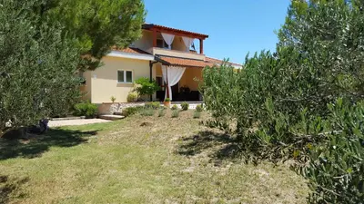 Vrt u objektu Resort Apartment Petrović