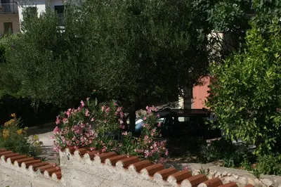 Vrt u objektu Apartments by the sea Zablace, Sibenik - 4251