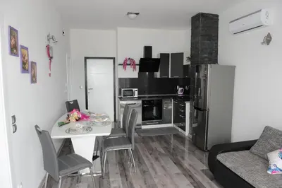 Kuhinja ili čajna kuhinja u objektu Apartment Odak