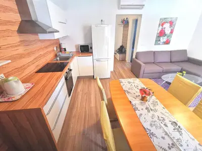 Kuhinja ili čajna kuhinja u objektu Vila Vodice