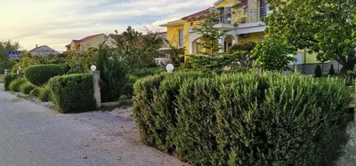 Vrt u objektu Anđela Home - Krka waterfalls