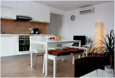 Kuhinja ili čajna kuhinja u objektu Apartments Ercegovic