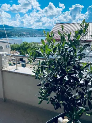 Priroda u blizini apartmana