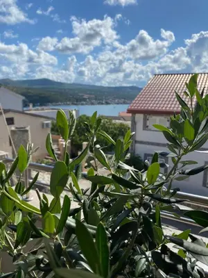 Priroda u blizini apartmana