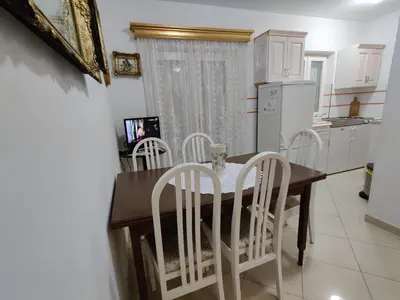 Kuhinja ili čajna kuhinja u objektu Apartmani Petković