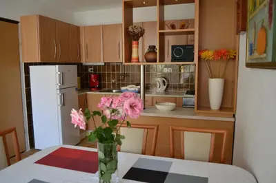 Kuhinja ili čajna kuhinja u objektu Apartment Jade