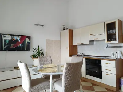 Kuhinja ili čajna kuhinja u objektu Apartments Proto