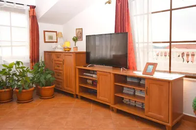 TV i/ili zabavni centar u objektu Apartment and Rooms Artina