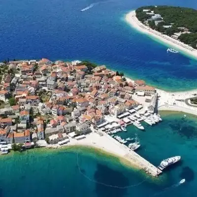 House Vlasta