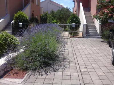 Vrt u objektu Apartments Danica