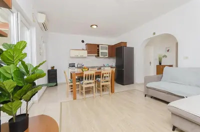 Kuhinja ili čajna kuhinja u objektu Apartments Sanja