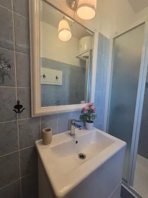 Kupaonica u objektu Apartmani Sladić