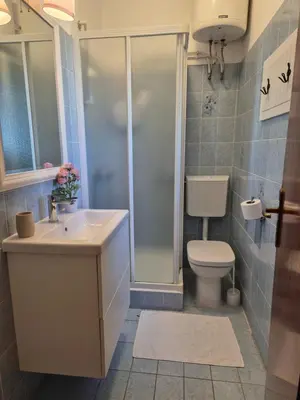 Kupaonica u objektu Apartmani Sladić
