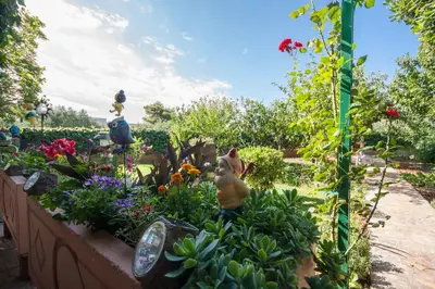 Vrt u objektu Villa Daniela