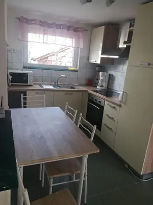 Kuhinja ili čajna kuhinja u objektu Apartments Matas