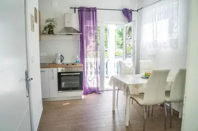 Kuhinja ili čajna kuhinja u objektu Apartmani Juricev Vodice
