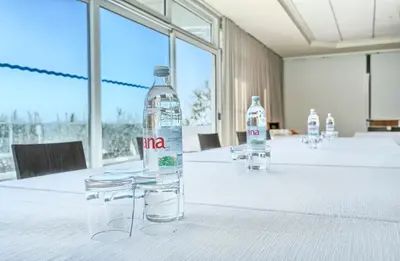 Poslovno područje ili konferencijska dvorana u objektu Hotel Panorama