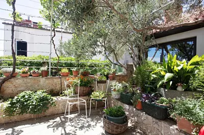 Vrt u objektu Apartment Tisno 812b