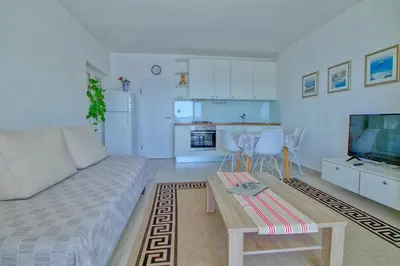 Kuhinja ili čajna kuhinja u objektu Apartments Podvorac