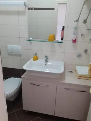 Kupaonica u objektu Apartman Zlatka
