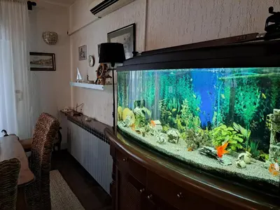 Tlocrt objekta Apartment Summer