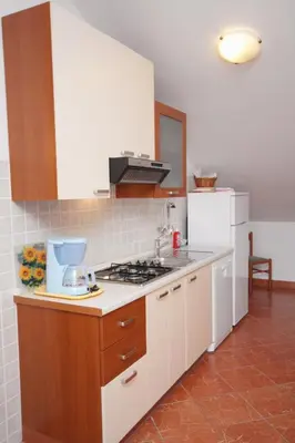 Kuhinja ili čajna kuhinja u objektu Apartments by the sea Tisno, Murter - 3209