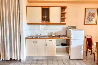 Kuhinja ili čajna kuhinja u objektu Apartments with parking space Murter - 5088