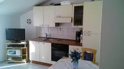 Kuhinja ili čajna kuhinja u objektu Apartment Jezera 5057g