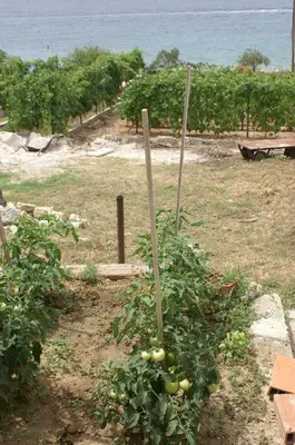 Priroda u blizini apartmana