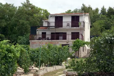 Vrt u objektu Apartments by the sea Sepurine, Prvic - 4238