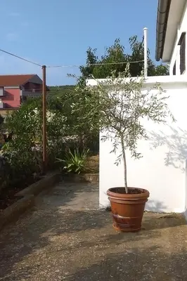 Vrt u objektu Holiday house with a parking space Tribunj, Vodice - 4204