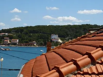 Priroda u blizini apartmana