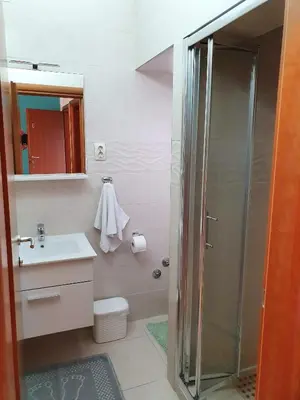 Kupaonica u objektu Apartments Vila Leona