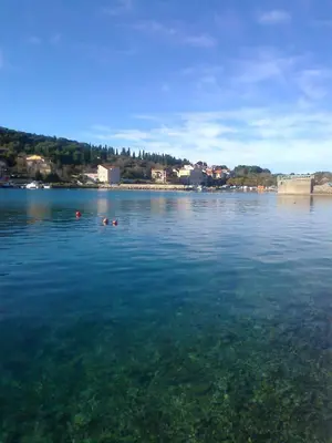 Priroda u blizini vikendica