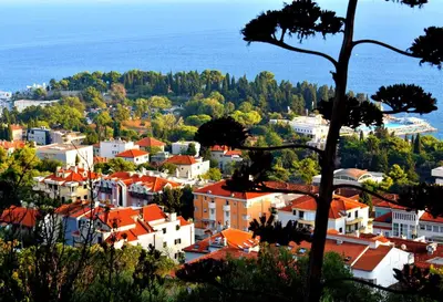 Priroda u blizini apartmana