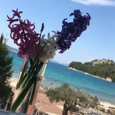 Casa Dolcevita